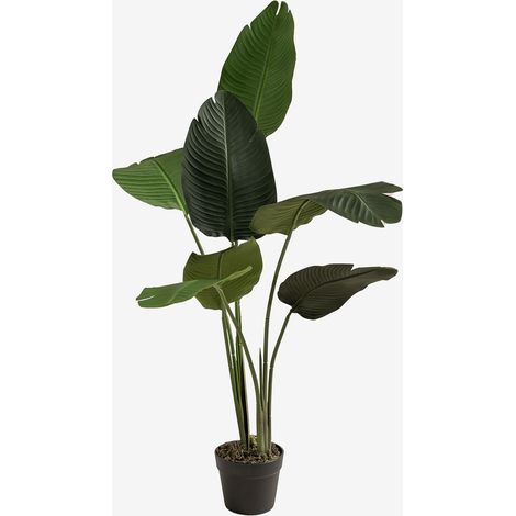 Pianta artificiale decorativa Strelitzia SKLUM            