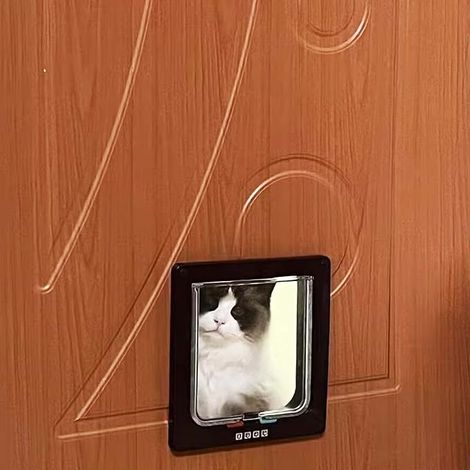 Cat door window door entrance exit suitable for cats small dogs (1/4)