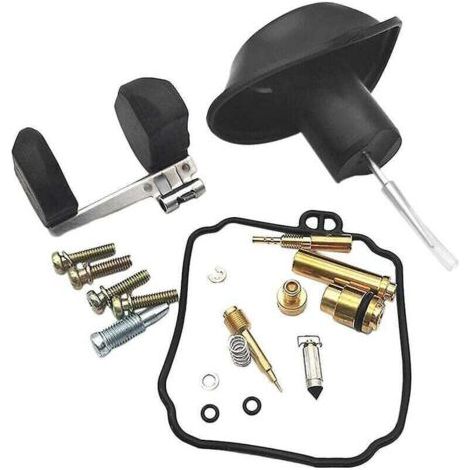 Kit de joint de flotteur de carburateur de moto pour Yamaha Virago 250 Xv250 (1/3)