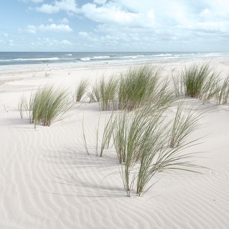 Tableau sur verre sandy beach vent 30x30 cm - Impression sur Verre - Image HD  imprimée sur Verre - Tableau mural décoratif en verre - Finition Brillante - Fabriqué en France (1/5)