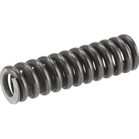 Muelle de compresi贸n ZF 0732040409