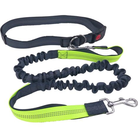 Laisse mains libres, ceinture réglable et laisse élastique rétractable à double poignée poignée verte