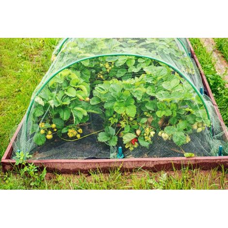 Rete Antiuccelli 2x10 4F GROUP (1/3)