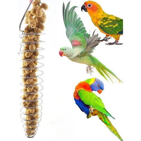 Porte-fruits et légumes en acier inoxydable pour oiseaux, brochettes pour perroquets et calopsittes (1/4)