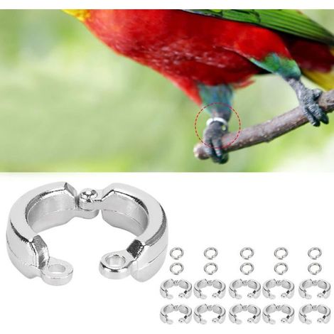 Anneaux Pied Oiseau Perroquet-10, Métal,Standard, Extérieur Plein Air, Accessoire Animal Aucunely (1/5)