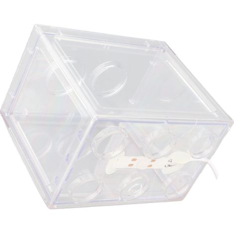 Mini aquarium décoratif, lampe LED USB, boîte à poissons, décoration de bureau ou de table basse (transparent) (1/5)