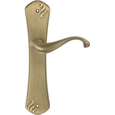 Martinelli Poignée Latine Cuir Laiton Patiné (1/2)