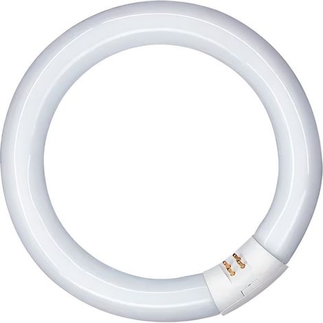 Tubo fluorescente circular 40w, g10q, 6500 k luz fria ø400 mm