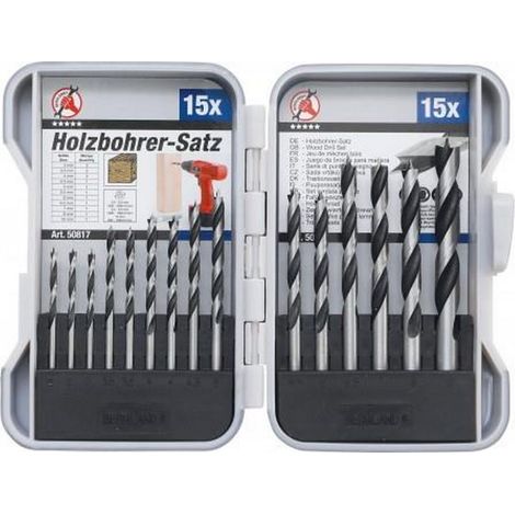 Bgs Technic – Coffret de forets pour perceuse – 15 mèches à bois en acier – Diamètres de 3 à 10 mm – Précision accrue avec poinçons de centrage