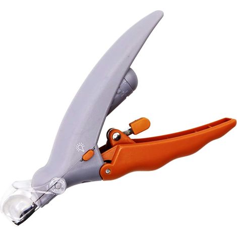 Pince à griffes pour animaux avec lumière LED - Nettoyage - Orange - 1 pièce (1/5)