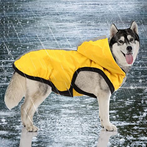 Leichter 2-in-1-Hunderegenmantel XL mit Kapuze für optimalen Schutz – Atmungsaktiver Poncho für kleine und mittelgroße Hunde (1/5)