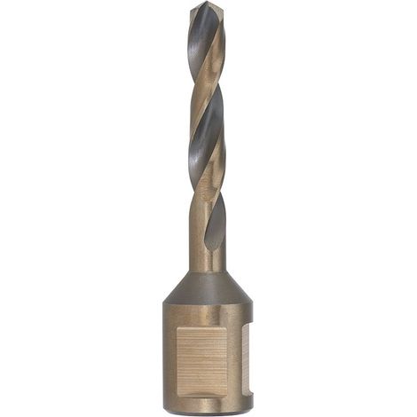 Pointe longue avec embout weldon 6x55 mm (1/2)