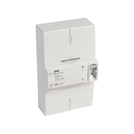 Disjoncteur de branchement Enedis tétrapolaire non différentiel - 60A - 401015 (1/2)