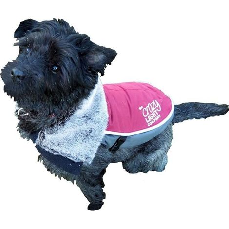 Jouet pour Chien Night-Bright LED pour Femme