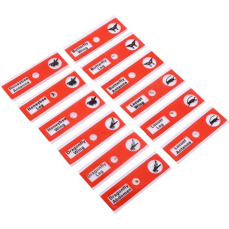 12 lames préparées en plastique, animaux insectes fleurs plantes, boîte rouge (1/2)