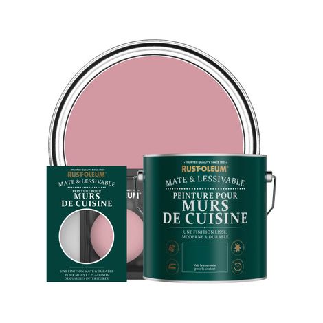 Peinture pour Murs de Cuisine, Finition Mate - Rose Antique (1/3)
