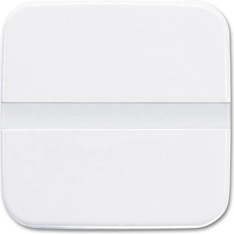 Busch-Jaeger 64765-214 Komfortschalter für intelligente Beleuchtung (1/5)
