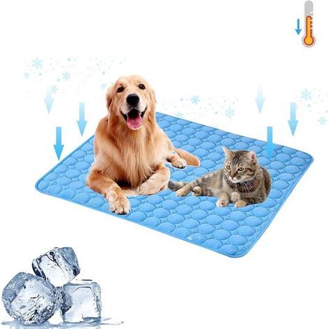 Réveil numérique à double alarme – Volume et luminosité réglables – Écran LED multicolore avec veilleuse – Fonction snooze et sauvegarde de la mémoire – Noir (1/5)