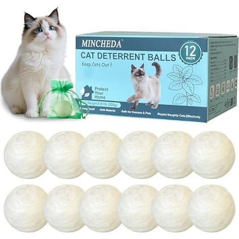 Répulsif pour Chats d'extérieur, dissuasif d'intérieur Empêche Les de marquer Leur Territoire avec Urine Éloigne Chat des pelouses, Cours et Jardins - (1/5)