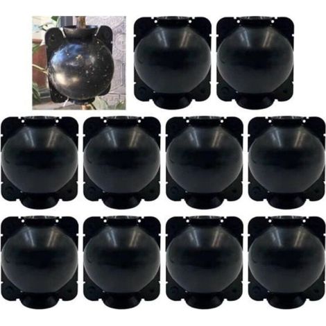 Plant Rooting Balls - Set of 10 - Green
