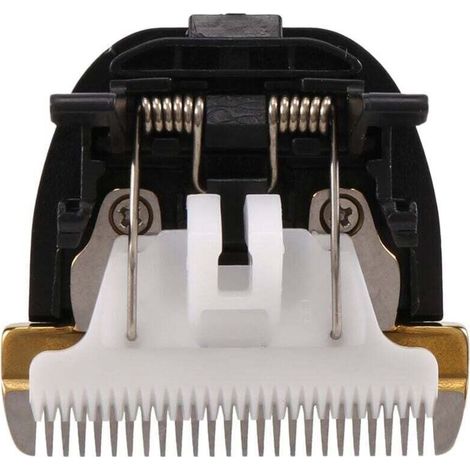 Professionnel Ciseaux pour Animaux de Compagnie ÉLectrique Tondeuse à Cheveux Chiens Machine DéCoupe CéRamique Titanium Couteau RFCD-9100 9600 (1/4)