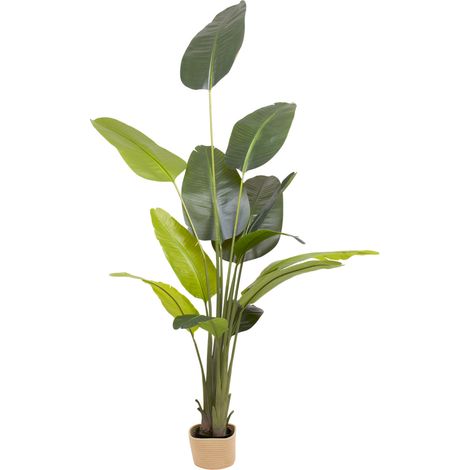 Traveller Banana 210 - Pianta Artificiale Decorativa Tropicale Banano H210 cm per Interno Esterno con Vaso Beige
