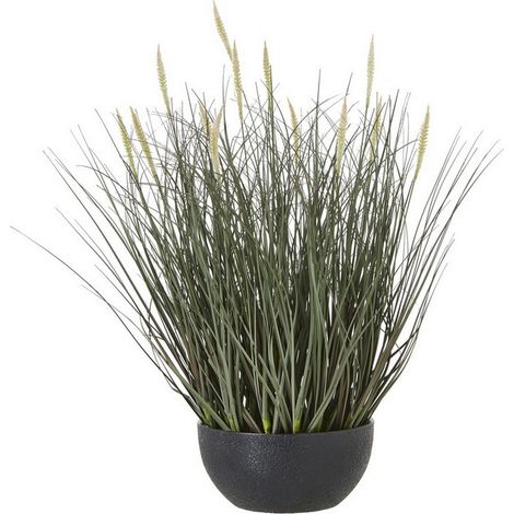 Fountain Grass Plant in Pot - Plastic - Height 50 cm - Green