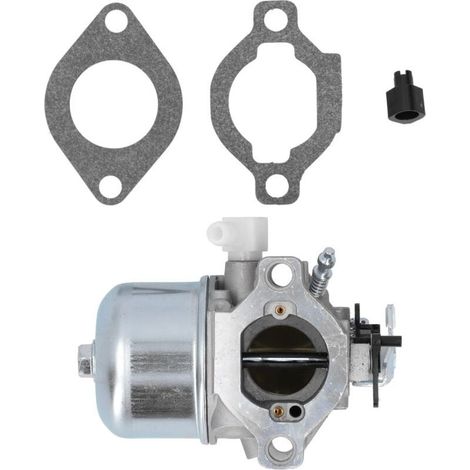 Carburateur Briggs & Stratton 699831 694941 499158 (1/4)