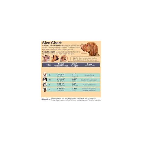 Museliere pour Chiens(M, Noir), Muselière Chien Nylon, Museliere pour Chiens Petit Respirant pour Chien Réglable, Museliere Engrener pour Petits, Moyens et Grands (1/5)