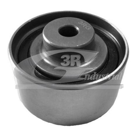 3RG 13903 RODILLO TENSOR
