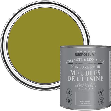 Peinture Vert Olive pour Meubles de Cuisine, Finition Brillante - Olive marinée 750ml (1/5)