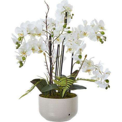 Large Orchid in Pot - Plastic/Ceramic - L60 x W65 x H76 cm - White
