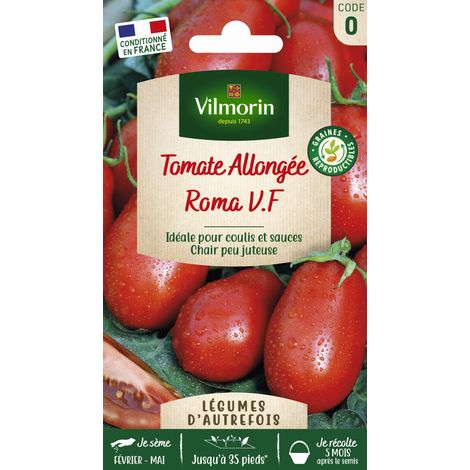 Tomate Roma - Légumes d'Autrefois Vilmorin (1/2)