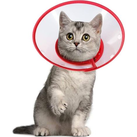 Cône réglable pour Chat, Collier élisabéthain léger pour Chiots, Petits Chiens et Chats (Rouge) (1/3)
