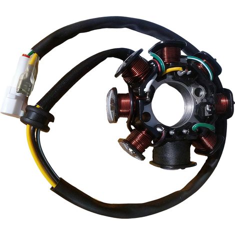 Kit Bobine Allumage Et Stator Pice De Rechange Prcise Et (1/5)