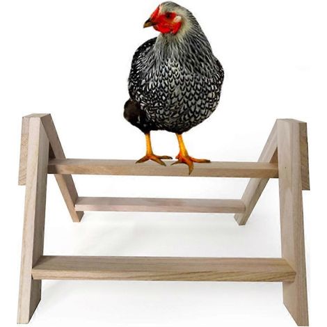 Perchoir en bois pour poules, grands oiseaux (perroquets, etc.) - Support trépied pour poulailler (1/4)