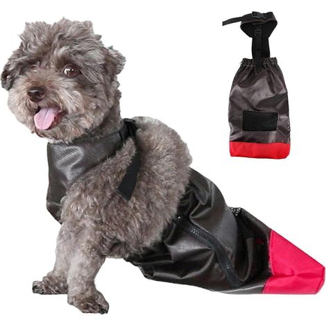 Support pattes arrière chien trottinette pour chiens paralysés, pochette lavable avec bandoulière flexible, races grandes/moyennes/petites, taille M (1/5)