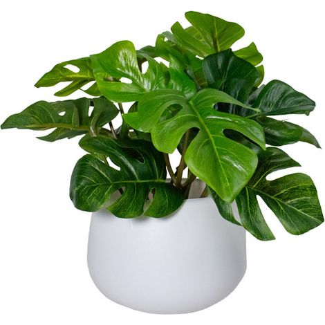 Mini plante artificielle Monstera – Pot blanc 16×10 cm, style moderne pour décoration intérieure et extérieure (1/5)