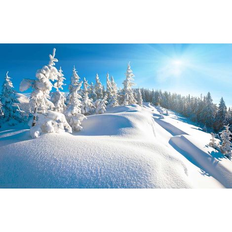 Tableau montagne trace dans la neige fraiche , 80x50cm (1/5)