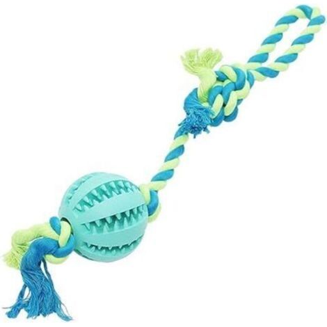 Balle de dressage de chien en caoutchouc de sécurité pour chien, chat, chien, jouet de nettoyage des dents