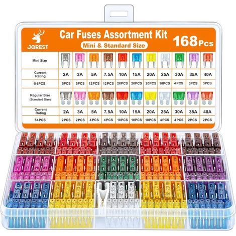168 Pcs Fusible Voiture Set, 114 Mini Fusibles Auto + 54 Moyenne Fusibles Automobile + 1 Extracteurs de fusibles - pour Voiture/RV/Camion/Moto (2A 3A 5A 7.5A 10A 15A 20A 25A 30A 35A 40A)