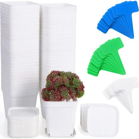 Lot de 60 pots carrés 7 cm avec plateaux et étiquettes, blanc. (1/5)