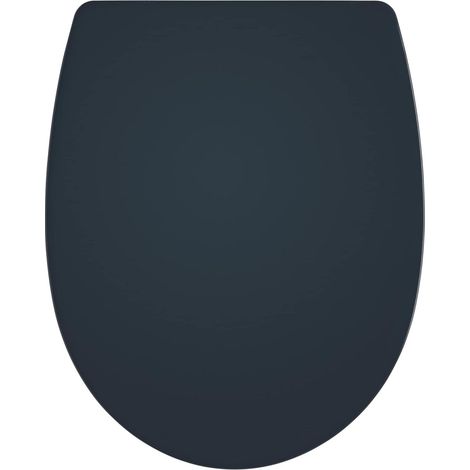 Wirquin 20724245 - Sedile WC in termoplastica a forma di U, colore: grigio antracite (1/5)