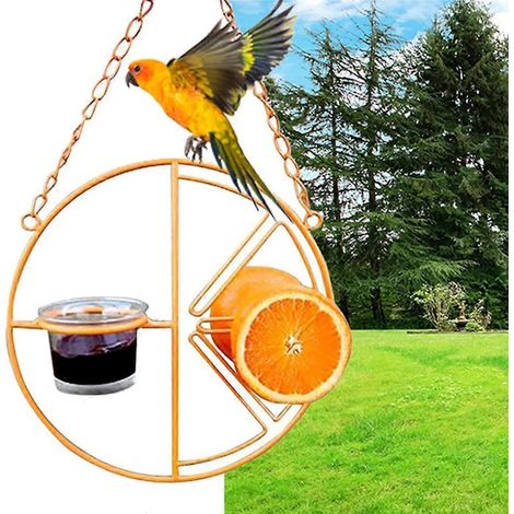 Mangeoire pour orioles avec coupelles à gelée et supports à oranges, mangeoire suspendue en métal pour jardin extérieur (1/5)
