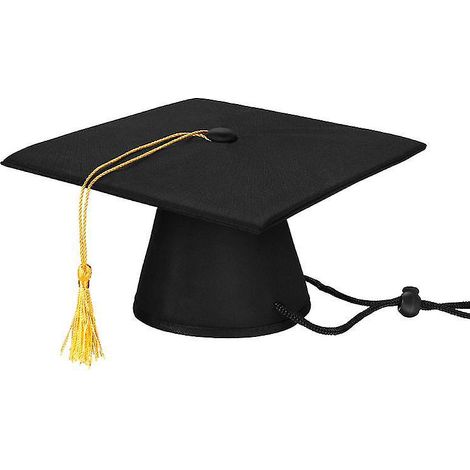 1 chapeau de remise de diplôme pour chien (1/3)