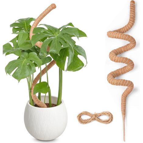 Tuteur Monstera pour Plantes, 160cm x 1 kit de Poteau de Mousse Monstera pour Plantes Grimpantes, Tuteur Coco pour Plantes d'intérieur (1/5)