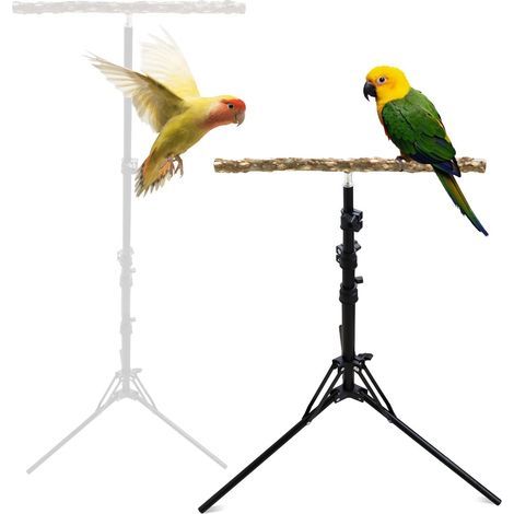Perchoir en bois de poivre naturel, hauteur réglable idéal pour oiseaux de petite et moyenne taille usage intérieur et extérieur (1/5)