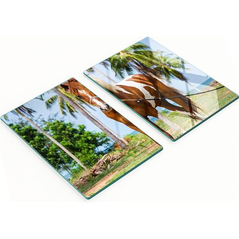 Pannelli decorativi multifunzionali in vetro temperato con motivo cavallo pinto, 2x40x52 cm (1/5)
