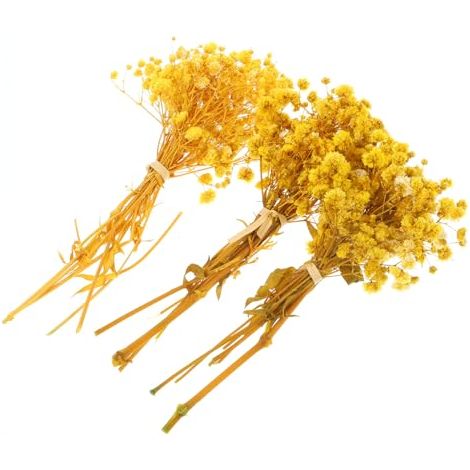 Bouquet de Gypsophile Fleurs Séchées, Petites Fleurs, , Jaune, Paille, Décor Réaliste pour Décoration de Mariage et Décoration Intérieure (1/5)