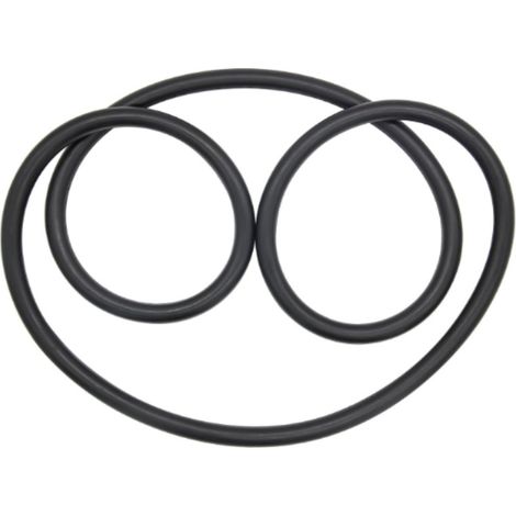 O-Ring für Wassertank 27001-0061S, kompatibel mit den Pool- und Spa-Filtersystemen der Serien Sta-Rite PLD und PLM. (1/4)
